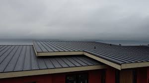 Best Storm Damage Roof Repair  in Albany, TX